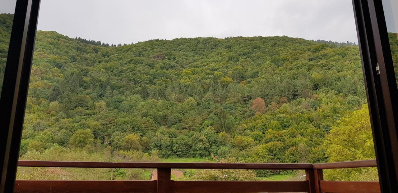 Villa Vrelo Bosne Sarajewo Zewnętrze zdjęcie
